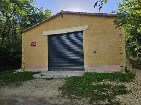 photo no. 13