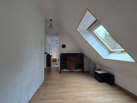 photo no. 10