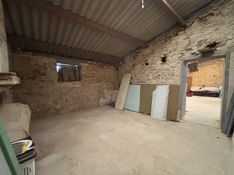 photo no. 8