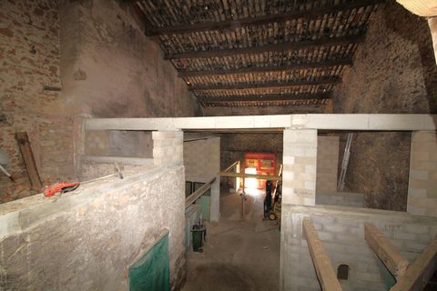 photo no. 6