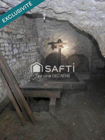 photo no. 5