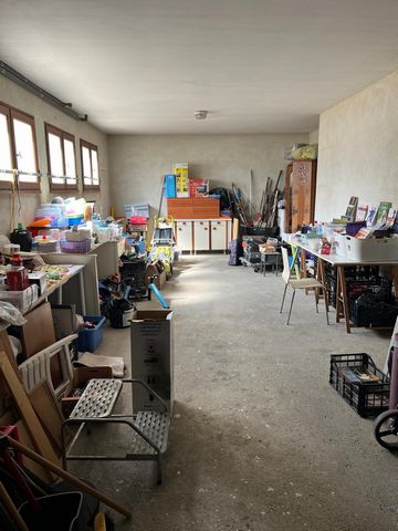 photo no. 15