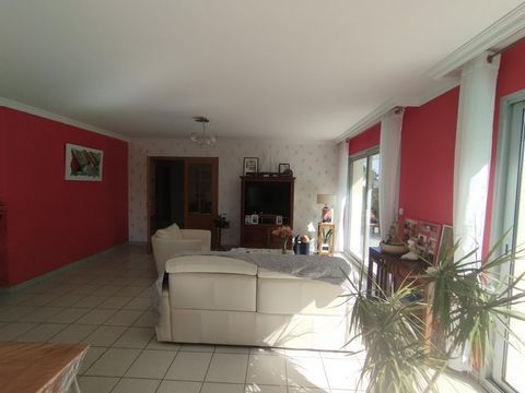 photo no. 8