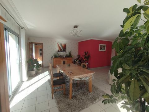 photo no. 12