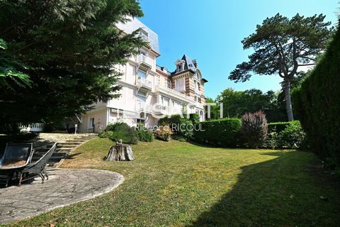 photo no. 13