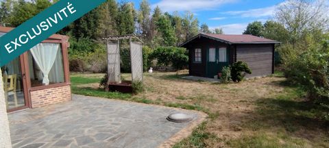 photo no. 5