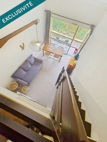 photo no. 5