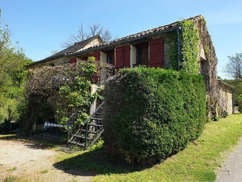 photo no. 10