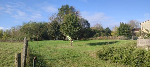 photo no. 10