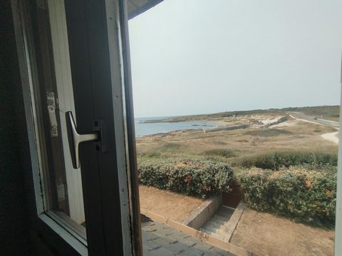 photo no. 12