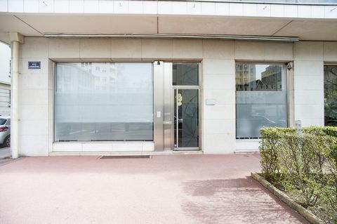 photo no. 8