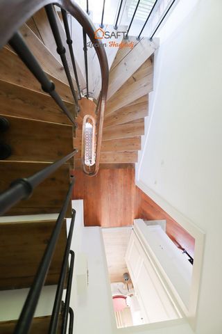 photo no. 11
