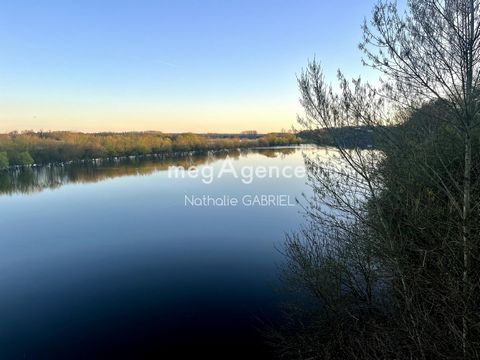 photo no. 11