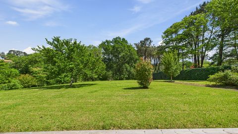 Maison sur 6800 m² de terrain (divisble).