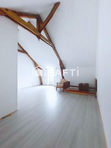 photo no. 7