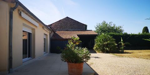 photo no. 2