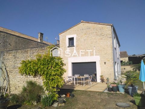 photo no. 6