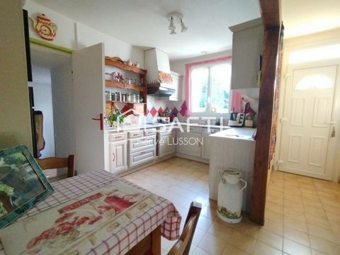 photo no. 6