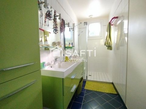 photo no. 11