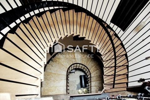 photo no. 5