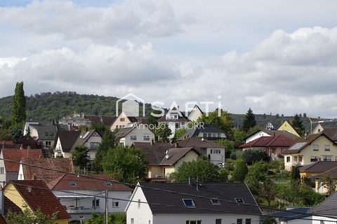 photo no. 11