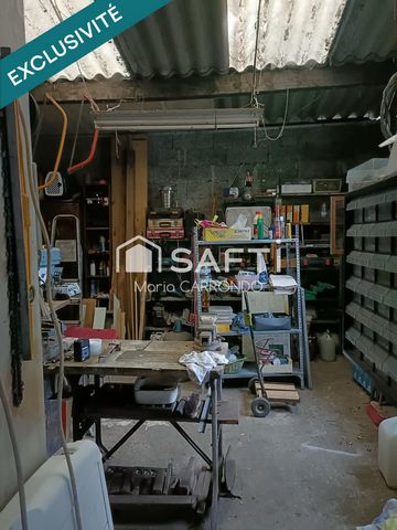 photo no. 6