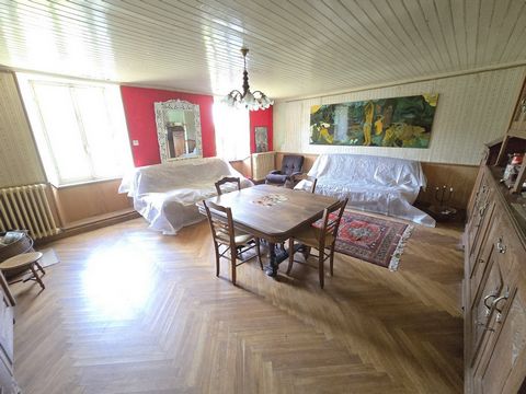 photo no. 7