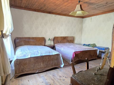 photo no. 13