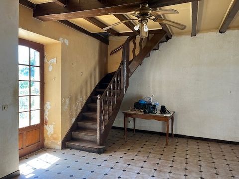 photo no. 4
