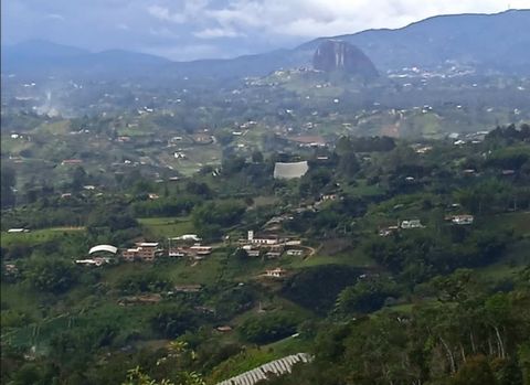 Spectacular lot of 20,494 m2, with an ideal slope for planting, with house/cellar and butler's house with 2 bedrooms, simple kitchen, 1 bathroom, laundry area, dining room, gas pipette, aqueduct, septic tank. The lot can be subdivided into two lots o...