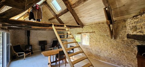 photo no. 15