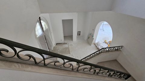 photo no. 3