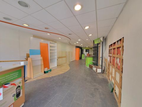 photo no. 12