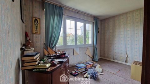 photo no. 12