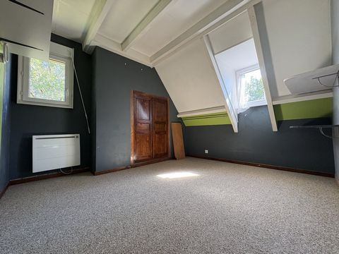 photo no. 6