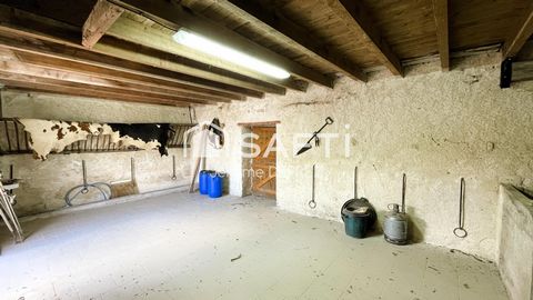 photo no. 11