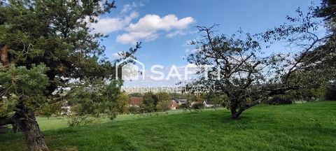 photo no. 11