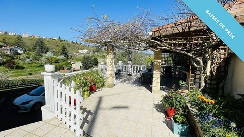 photo no. 2