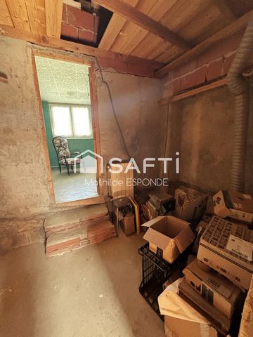 photo no. 14