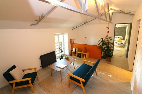 photo no. 12