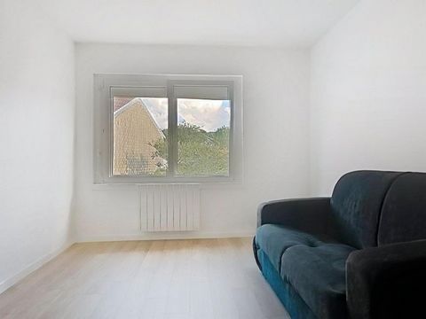 photo no. 8