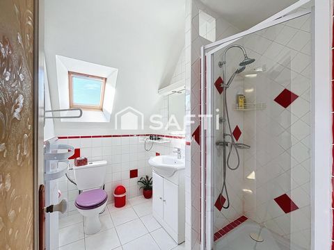 photo no. 12