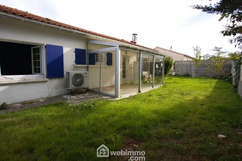 photo no. 10