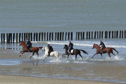 L'appartement dispose d'un salon/salle à manger ouvert et accueillant avec une télévision et des sièges confortables, parfaits pour se détendre après une journée d'exploration. La cuisine entièrement équipée comprend une plaque de cuisson, un micro-o...