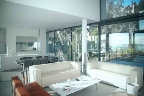 photo no. 12