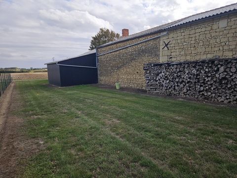 photo no. 13