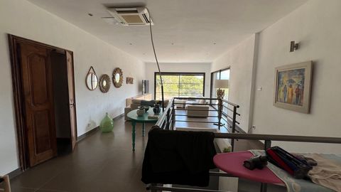 photo no. 10