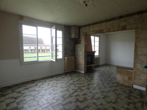 photo no. 2