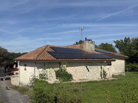 photo no. 3