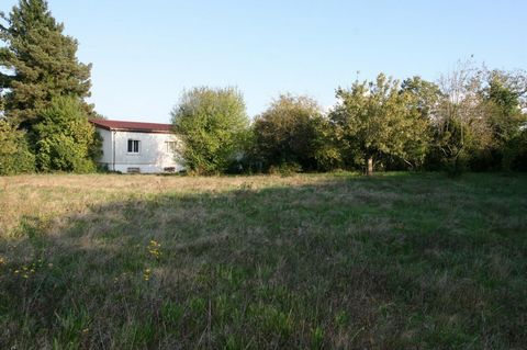 photo no. 1